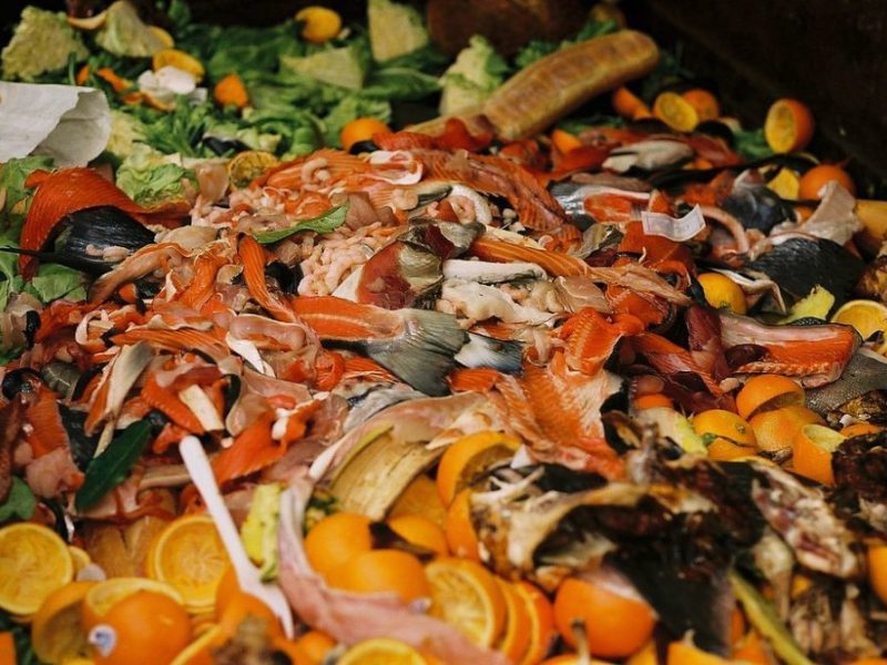 food waste piled up in a dumpster