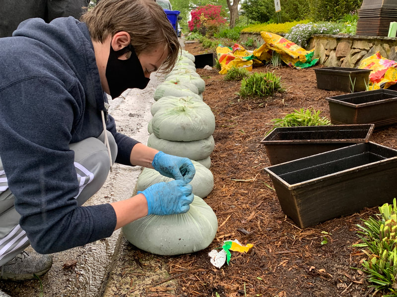 Chander Payne working in an urban garden.