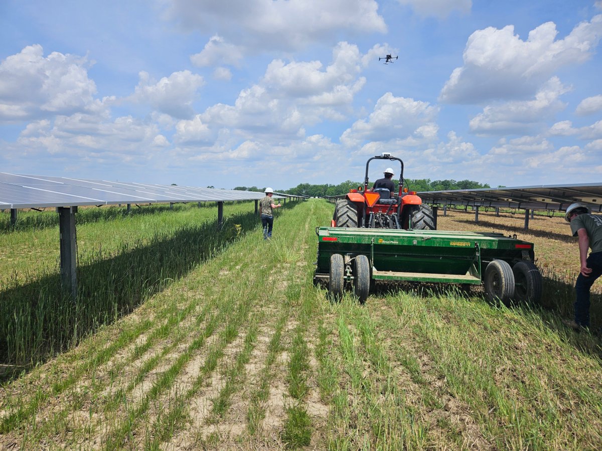 A tractor pulls an implement between two rows of solar panels in a field