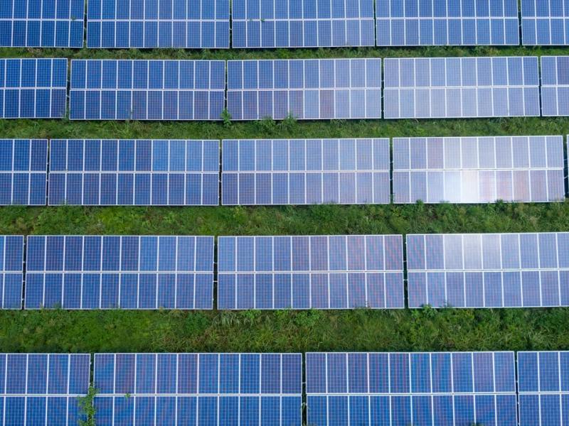 Rows of solar panels